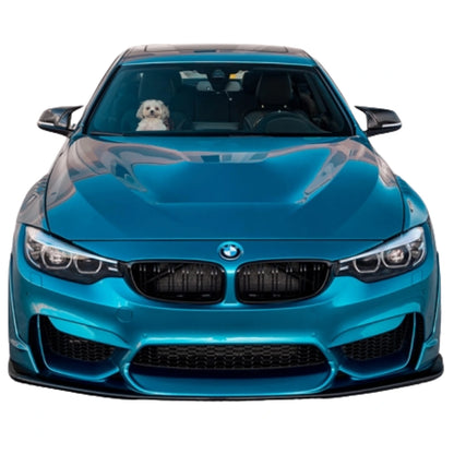 BMW F8X M3 & M4 Laptorr Style Carbon Fiber Front Lip